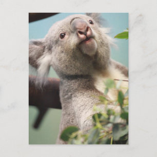 Produkt anpassen postkarte