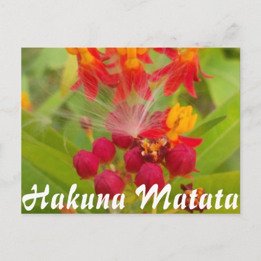 Produkt anpassen postkarte (Vorderseite)