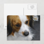 Produkt anpassen postkarte (Vorne/Hinten)