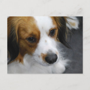 Produkt anpassen postkarte