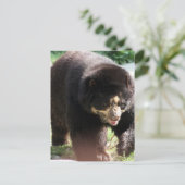 Produkt anpassen postkarte (Stehend Vorderseite)