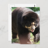 Produkt anpassen postkarte (Vorne/Hinten)