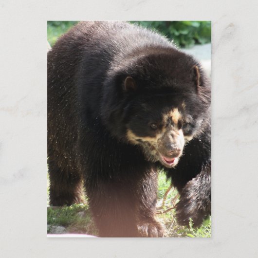 Produkt anpassen postkarte (Vorderseite)