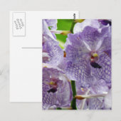 Produkt anpassen postkarte (Vorne/Hinten)