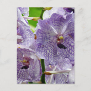 Produkt anpassen postkarte