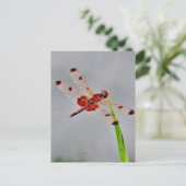 Produkt anpassen postkarte (Stehend Vorderseite)