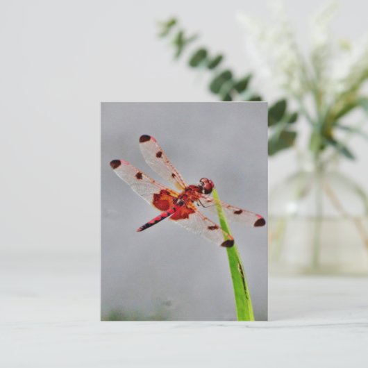 Produkt anpassen postkarte (Stehend Vorderseite)