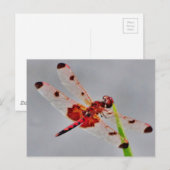 Produkt anpassen postkarte (Vorne/Hinten)