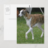 Produkt anpassen postkarte (Vorne/Hinten)