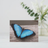Produkt anpassen postkarte (Stehend Vorderseite)