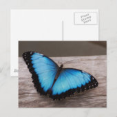 Produkt anpassen postkarte (Vorne/Hinten)