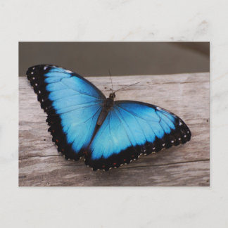 Produkt anpassen postkarte