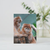 Produkt anpassen postkarte (Stehend Vorderseite)