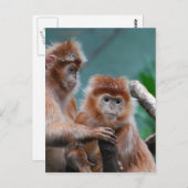 Produkt anpassen postkarte (Vorne/Hinten)