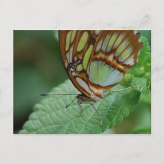 Produkt anpassen postkarte