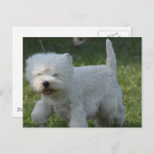 Produkt anpassen postkarte (Vorne/Hinten)