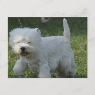 Produkt anpassen postkarte