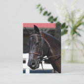 Produkt anpassen postkarte (Stehend Vorderseite)