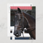 Produkt anpassen postkarte (Vorne/Hinten)