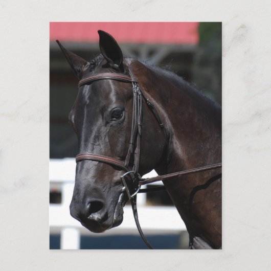 Produkt anpassen postkarte (Vorderseite)