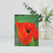 Produkt anpassen postkarte (Stehend Vorderseite)