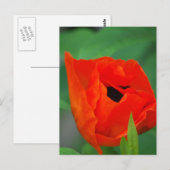 Produkt anpassen postkarte (Vorne/Hinten)