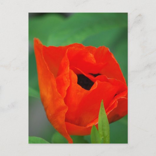 Produkt anpassen postkarte (Vorderseite)