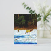 Produkt anpassen postkarte (Stehend Vorderseite)