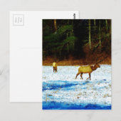 Produkt anpassen postkarte (Vorne/Hinten)