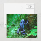 Produkt anpassen postkarte (Vorne/Hinten)