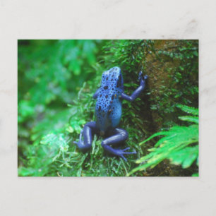 Produkt anpassen postkarte