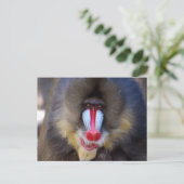 Produkt anpassen postkarte (Stehend Vorderseite)