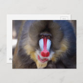 Produkt anpassen postkarte (Vorne/Hinten)