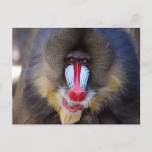 Produkt anpassen postkarte (Vorderseite)