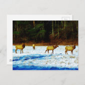 Produkt anpassen postkarte (Vorne/Hinten)