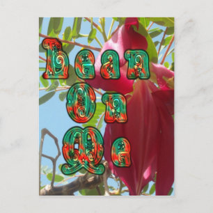 Produkt anpassen postkarte