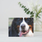 Produkt anpassen postkarte (Stehend Vorderseite)