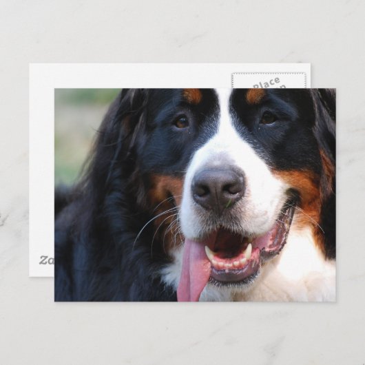 Produkt anpassen postkarte (Vorne/Hinten)