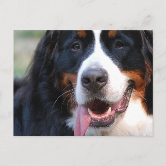 Produkt anpassen postkarte (Vorderseite)