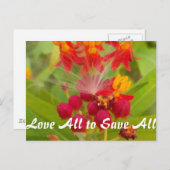 Produkt anpassen postkarte (Vorne/Hinten)