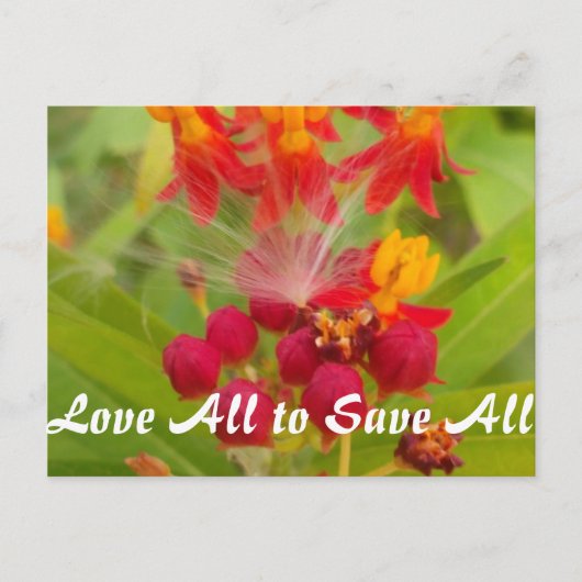 Produkt anpassen postkarte (Vorderseite)