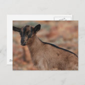 Produkt anpassen postkarte (Vorne/Hinten)