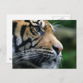 Produkt anpassen postkarte (Vorne/Hinten)