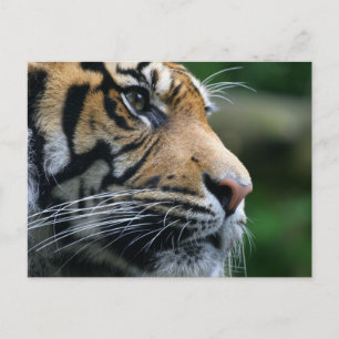 Produkt anpassen postkarte