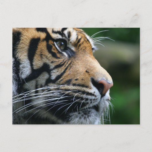 Produkt anpassen postkarte (Vorderseite)