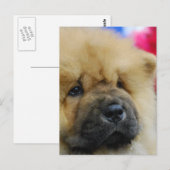 Produkt anpassen postkarte (Vorne/Hinten)