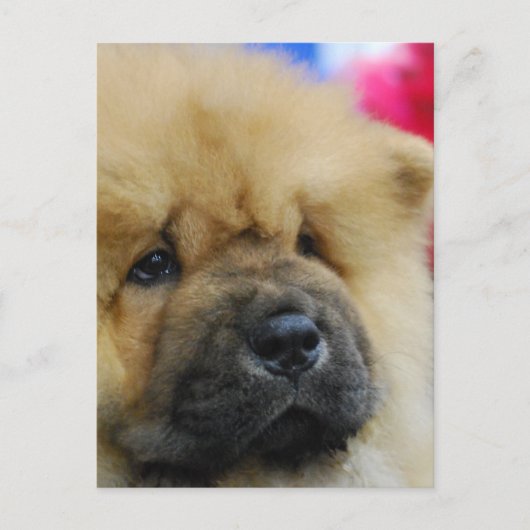 Produkt anpassen postkarte (Vorderseite)