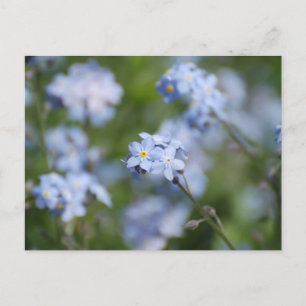 Produkt anpassen postkarte