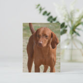 Produkt anpassen postkarte (Stehend Vorderseite)