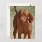 Produkt anpassen postkarte (Vorne/Hinten)